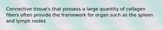 Connective tissue's that possess a large quantity of collagen fibers often provide the framework for organ such as the spleen and lymph nodes