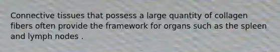 Connective tissues that possess a large quantity of collagen fibers often provide the framework for organs such as the spleen and lymph nodes .