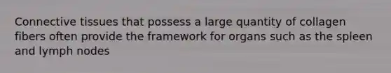 Connective tissues that possess a large quantity of collagen fibers often provide the framework for organs such as the spleen and lymph nodes