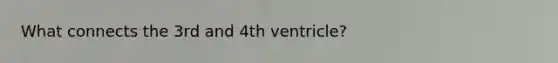 What connects the 3rd and 4th ventricle?