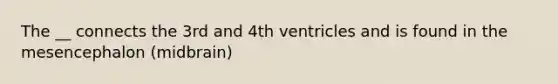 The __ connects the 3rd and 4th ventricles and is found in the mesencephalon (midbrain)