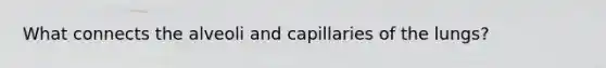 What connects the alveoli and capillaries of the lungs?