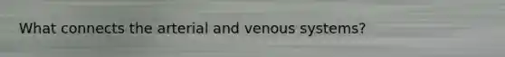 What connects the arterial and venous systems?