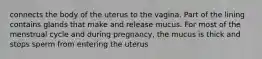 connects the body of the uterus to the vagina. Part of the lining contains glands that make and release mucus. For most of the menstrual cycle and during pregnancy, the mucus is thick and stops sperm from entering the uterus