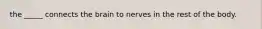 the _____ connects the brain to nerves in the rest of the body.