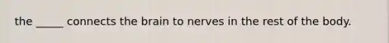 the _____ connects the brain to nerves in the rest of the body.