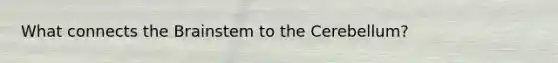 What connects the Brainstem to the Cerebellum?