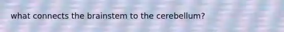 what connects <a href='https://www.questionai.com/knowledge/kLMtJeqKp6-the-brain' class='anchor-knowledge'>the brain</a>stem to the cerebellum?
