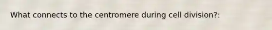 What connects to the centromere during cell division?: