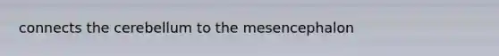 connects the cerebellum to the mesencephalon