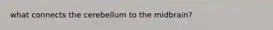 what connects the cerebellum to the midbrain?