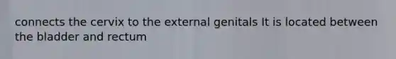 connects the cervix to the external genitals It is located between the bladder and rectum