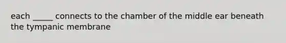 each _____ connects to the chamber of the middle ear beneath the tympanic membrane