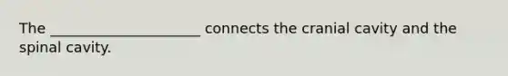 The _____________________ connects the cranial cavity and the spinal cavity.