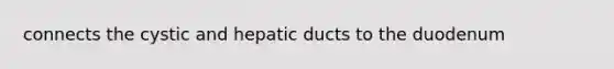 connects the cystic and hepatic ducts to the duodenum