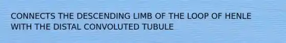 CONNECTS THE DESCENDING LIMB OF THE LOOP OF HENLE WITH THE DISTAL CONVOLUTED TUBULE