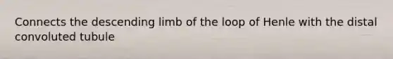 Connects the descending limb of the loop of Henle with the distal convoluted tubule