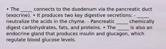 • The _____ connects to the duodenum via the pancreatic duct (exocrine). • It produces two key digestive secretions: - _____ neutralize the acids in the chyme. - Pancreatic _____ chemically digest carbohydrates, fats, and proteins. • The _____ is also an endocrine gland that produces insulin and glucagon, which regulate blood glucose levels.