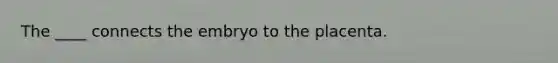 The ____ connects the embryo to the placenta.