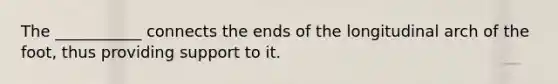 The ___________ connects the ends of the longitudinal arch of the foot, thus providing support to it.