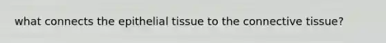 what connects the <a href='https://www.questionai.com/knowledge/k7dms5lrVY-epithelial-tissue' class='anchor-knowledge'>epithelial tissue</a> to the <a href='https://www.questionai.com/knowledge/kYDr0DHyc8-connective-tissue' class='anchor-knowledge'>connective tissue</a>?