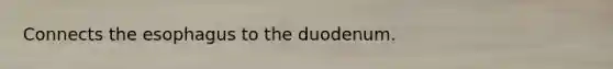 Connects <a href='https://www.questionai.com/knowledge/kSjVhaa9qF-the-esophagus' class='anchor-knowledge'>the esophagus</a> to the duodenum.