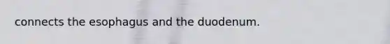 connects the esophagus and the duodenum.