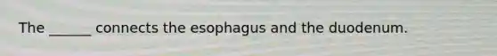 The ______ connects the esophagus and the duodenum.