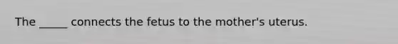 The _____ connects the fetus to the mother's uterus.