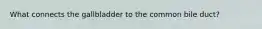 What connects the gallbladder to the common bile duct?