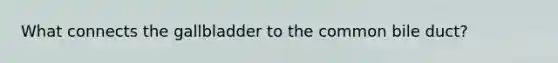 What connects the gallbladder to the common bile duct?