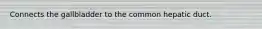 Connects the gallbladder to the common hepatic duct.