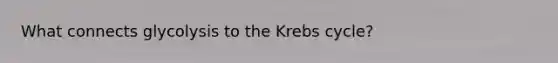 What connects glycolysis to the Krebs cycle?