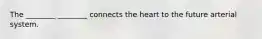 The ________ ________ connects the heart to the future arterial system.