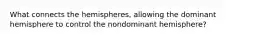 What connects the hemispheres, allowing the dominant hemisphere to control the nondominant hemisphere?
