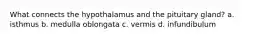 What connects the hypothalamus and the pituitary gland? a. isthmus b. medulla oblongata c. vermis d. infundibulum