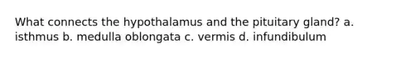 What connects the hypothalamus and the pituitary gland? a. isthmus b. medulla oblongata c. vermis d. infundibulum