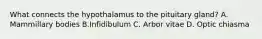 What connects the hypothalamus to the pituitary gland? A. Mammillary bodies B.Infidibulum C. Arbor vitae D. Optic chiasma