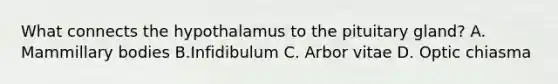 What connects the hypothalamus to the pituitary gland? A. Mammillary bodies B.Infidibulum C. Arbor vitae D. Optic chiasma