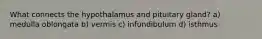 What connects the hypothalamus and pituitary gland? a) medulla oblongata b) vermis c) infundibulum d) isthmus