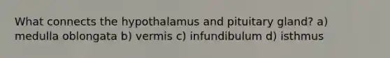 What connects the hypothalamus and pituitary gland? a) medulla oblongata b) vermis c) infundibulum d) isthmus