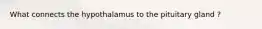 What connects the hypothalamus to the pituitary gland ?