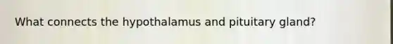 What connects the hypothalamus and pituitary gland?