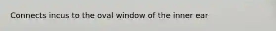 Connects incus to the oval window of the inner ear