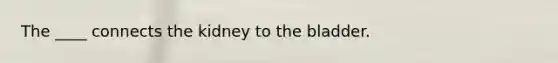 The ____ connects the kidney to the bladder.