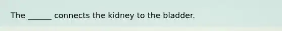 The ______ connects the kidney to the bladder.