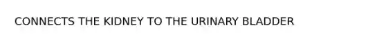 CONNECTS THE KIDNEY TO THE URINARY BLADDER