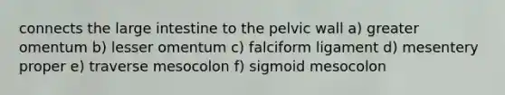 connects the <a href='https://www.questionai.com/knowledge/kGQjby07OK-large-intestine' class='anchor-knowledge'>large intestine</a> to the pelvic wall a) greater omentum b) lesser omentum c) falciform ligament d) mesentery proper e) traverse mesocolon f) sigmoid mesocolon