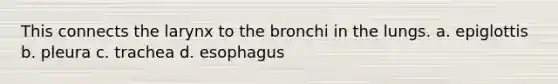 This connects the larynx to the bronchi in the lungs. a. epiglottis b. pleura c. trachea d. esophagus