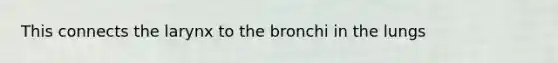 This connects the larynx to the bronchi in the lungs